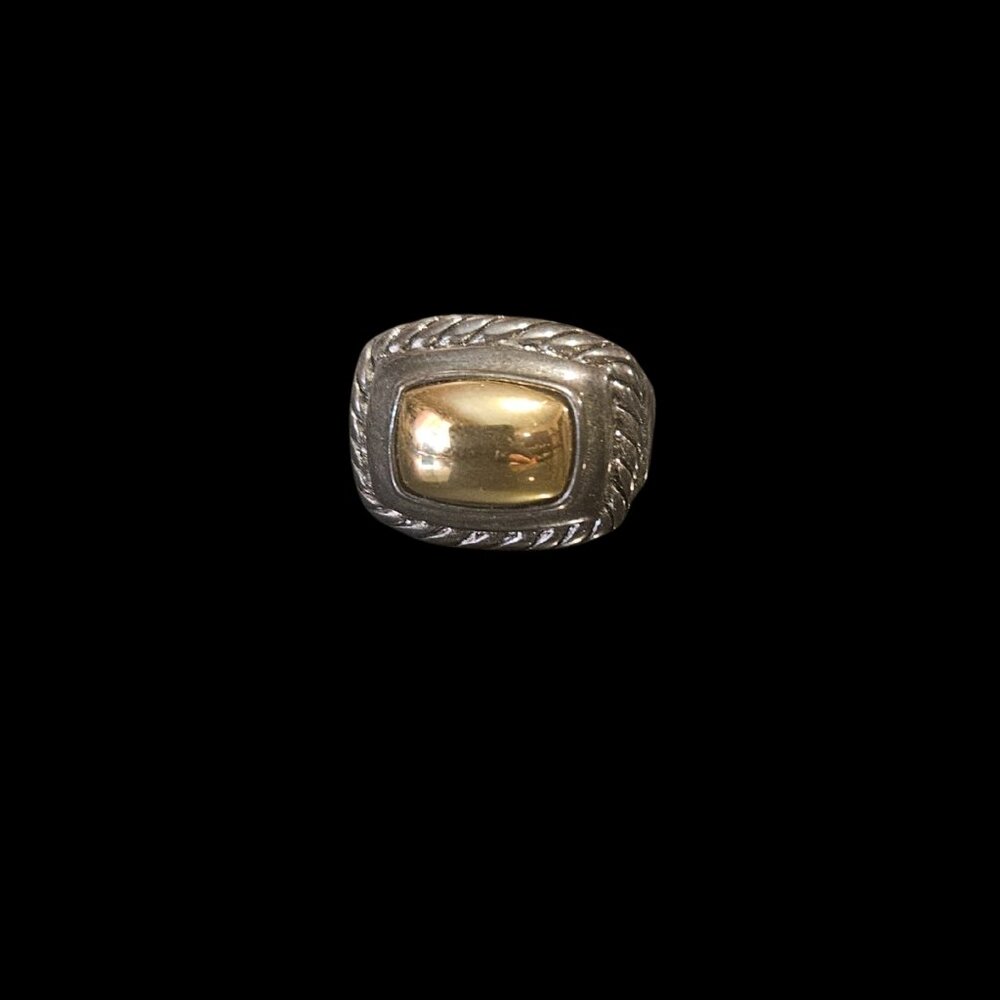 Premier Designs Ring – Gold Cushion Accent w/ Silver Rope Detailing (size 9)